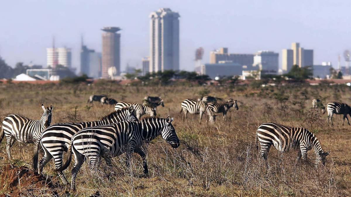 Национальный парк Найроби
